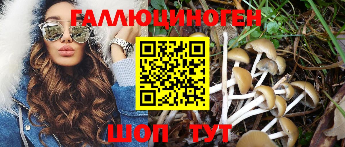Галлюциногенные грибы Cubensis Кузнецк
