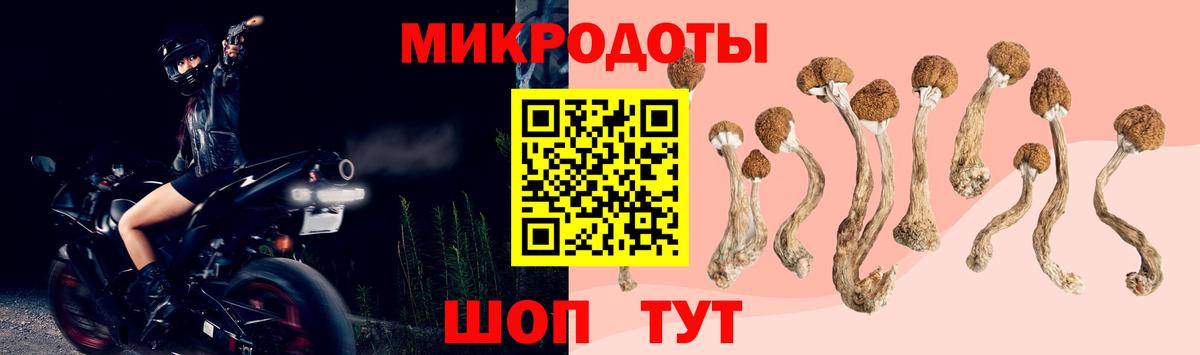 Галлюциногенные грибы MAGIC MUSHROOMS  Вход с VPN  Галлюциногенные грибы мицелий  Кузнецк 
